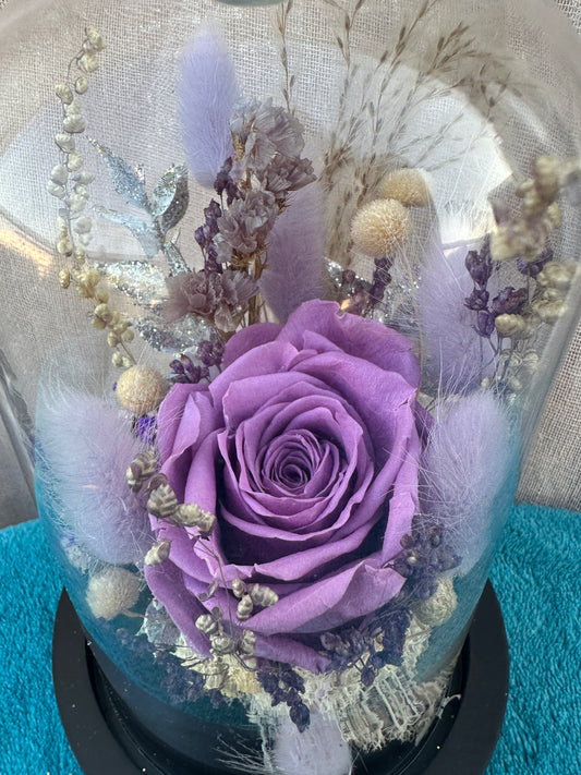 Cloche Lueur Enchantée